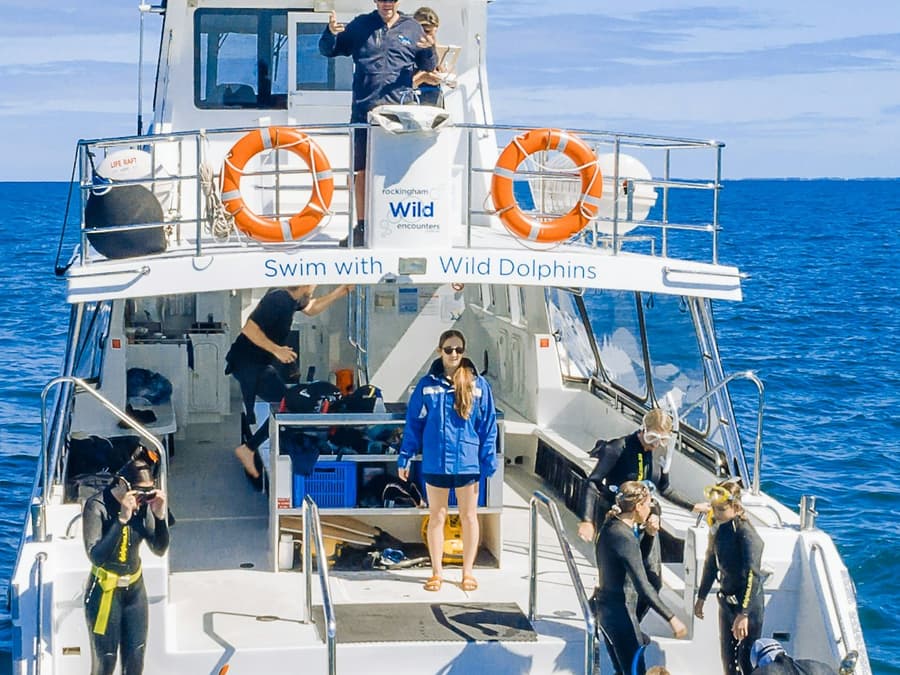Perth: Guided Cruise + Swim with Wild Dolphins + Lunch