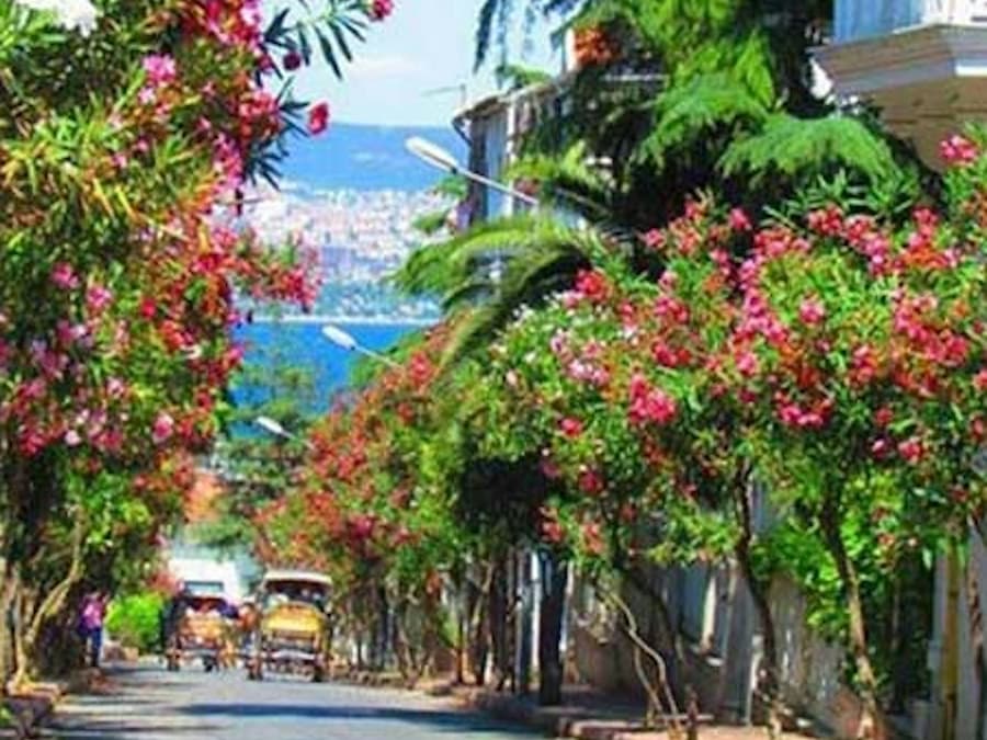 Istanbul: Prince's Island Tour + Lunch and 2 Islands