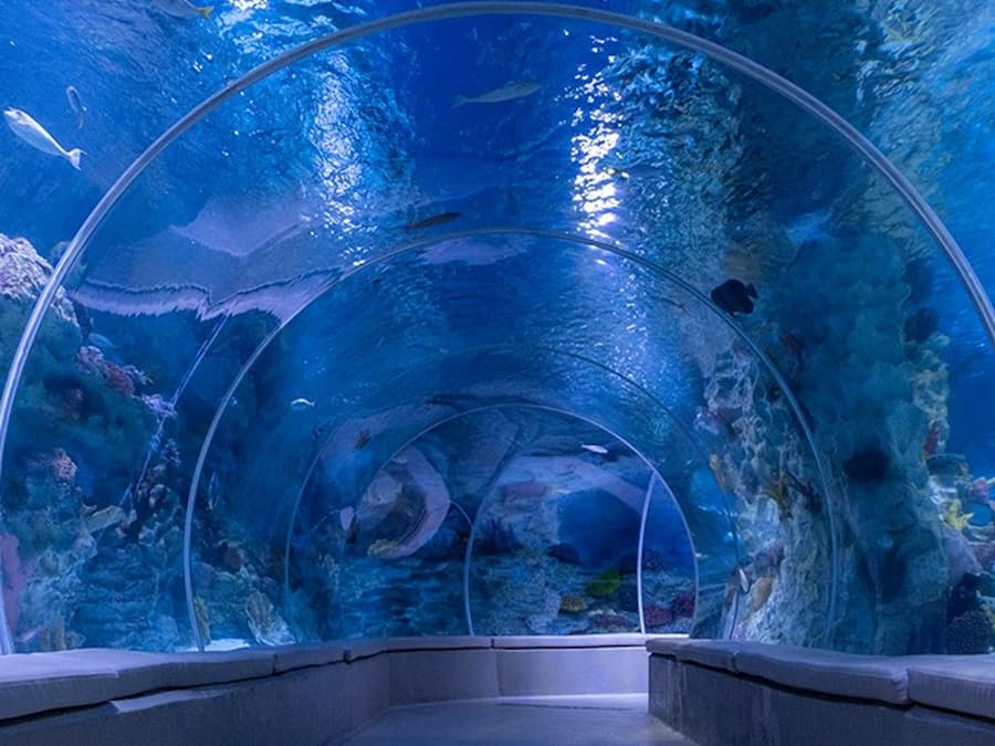 Istanbul: Emaar Aquarium & Underwater Zoo Entry Ticket