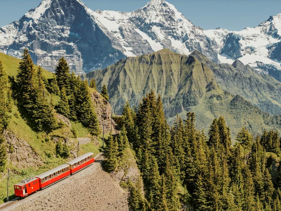 Schynige Platte: Roundtrip Rack Railroad From Wilderswil