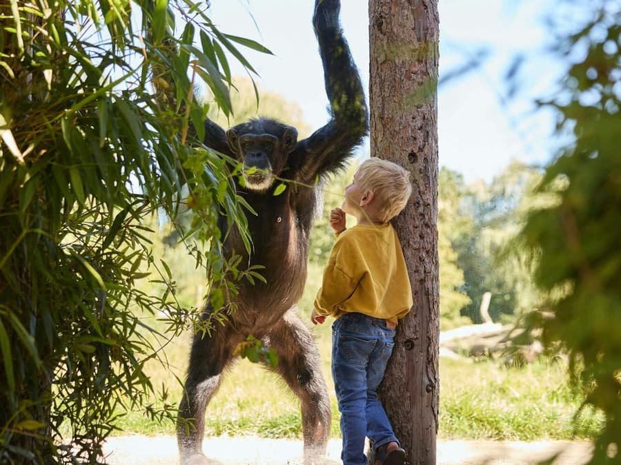 Eindhoven Zoo