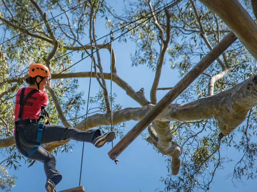 Western Sydney: Treetops Adventure