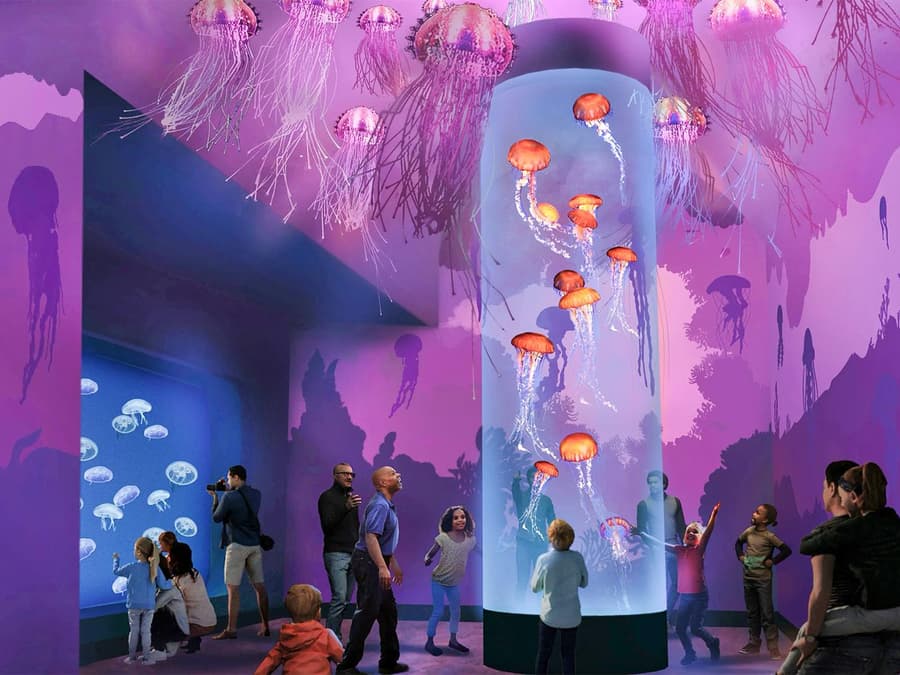 SeaWorld San Diego Any-Day Tickets