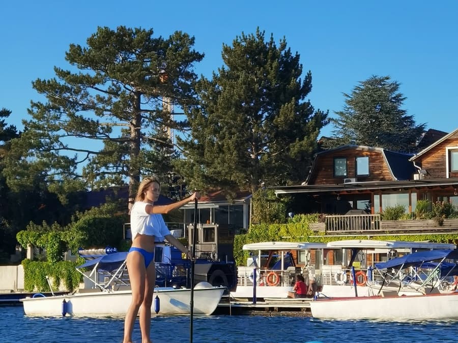 Vienna: Stand-Up Paddleboard Rental