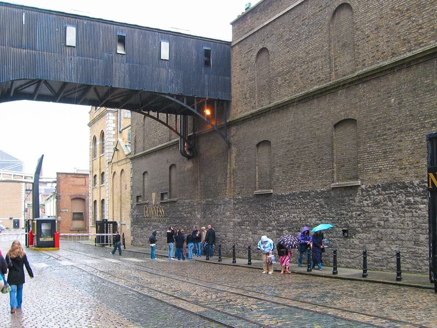 Combo: Dublin Hop-on Hop-off Bus Tour + Guinness Storehouse & Gravity Bar Tickets