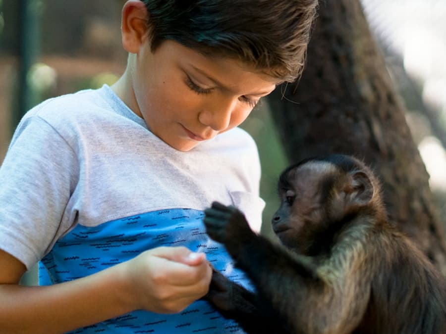 ATV Monkey Jungle Tour