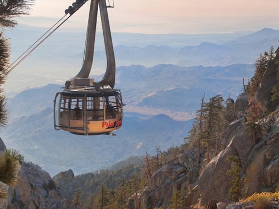 Palm Springs Aerial Tramway: Entry + Roundtrip Transport