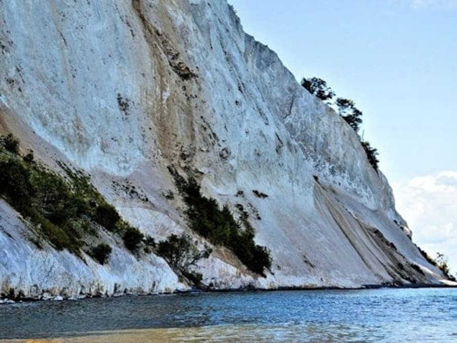 Møns Klint & Forest Tower: Day Trip from Copenhagen