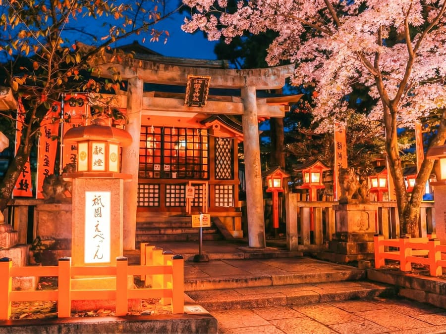 Kyoto Cherry Blossom Night Tour: Hanami, Maruyama Park, Izakaya, and Yasaka Shrine