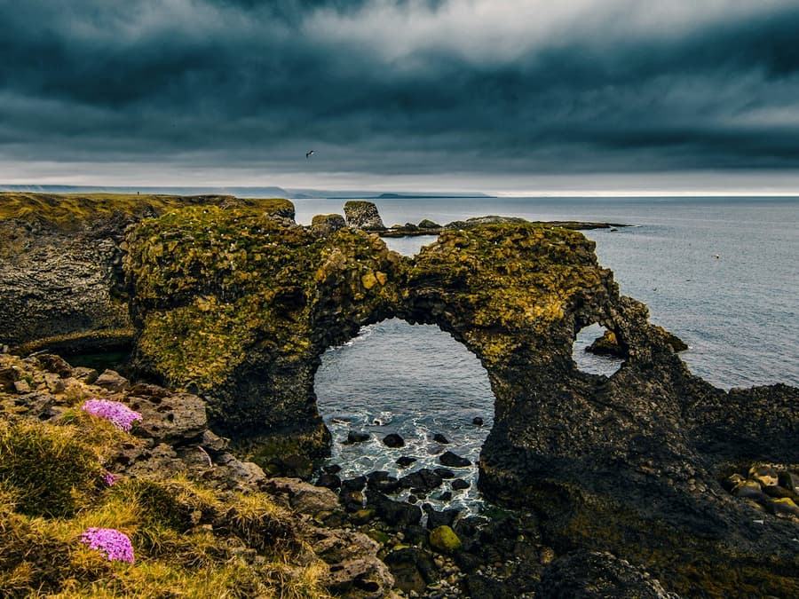 Snæfellsnes: Black Beach Day Trip + Dinner