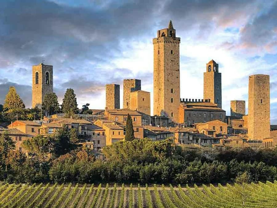 San Gimignano: Wine Tasting Tour