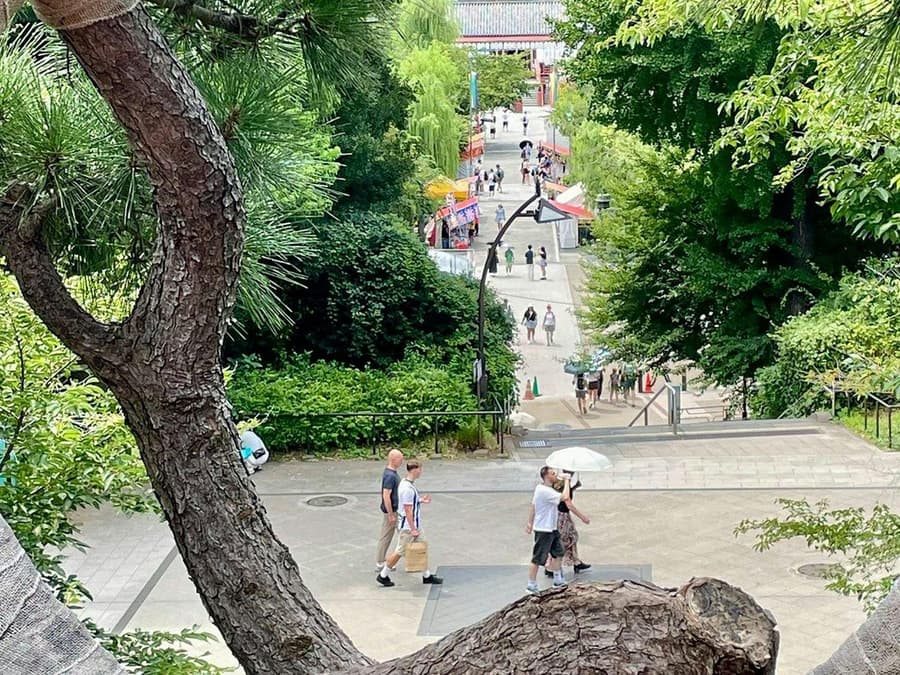 Ueno Park & Tokyo National Museum Private Tour