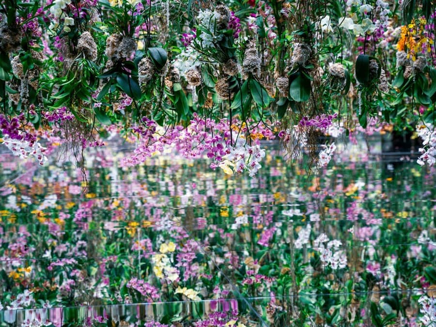 Tokyo: Экскурсия по садам Восточного дворца с посещением teamLab Borderless