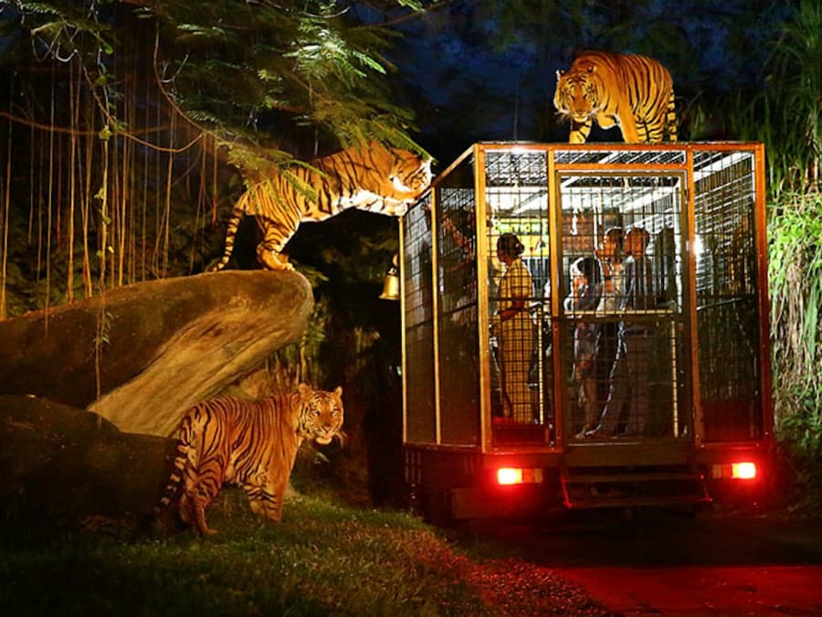 Bali Safari & Marine Park: Night Safari