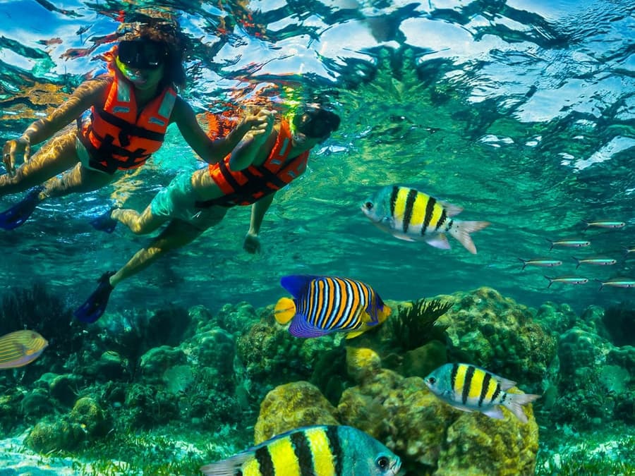 Puerto Morelos Reef: Snorkeling Adventure with Beachside Lunch