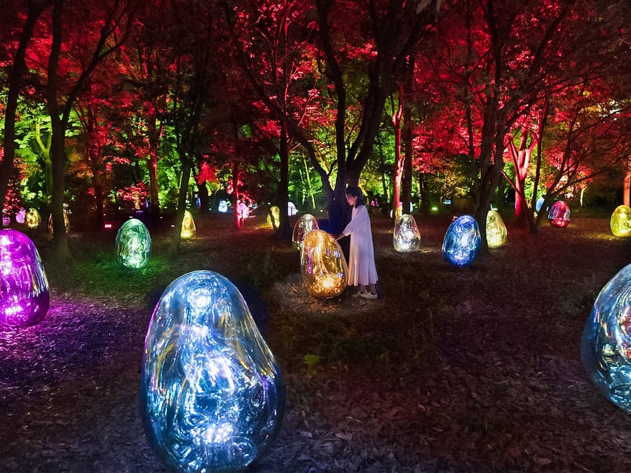 Tiket ke Taman Botani teamLab di Osaka