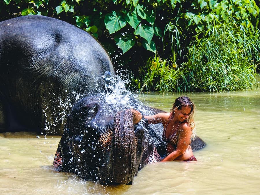 Ao Nang Elephant Sanctuary Half-Day Guided Tour with Hotel Transfers