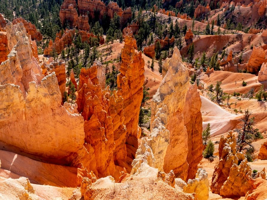 From Las Vegas: Bryce Canyon & Zion National Parks Day Tour with Lunch