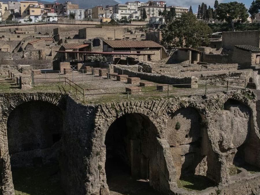 Herculaneum: Entry Ticket