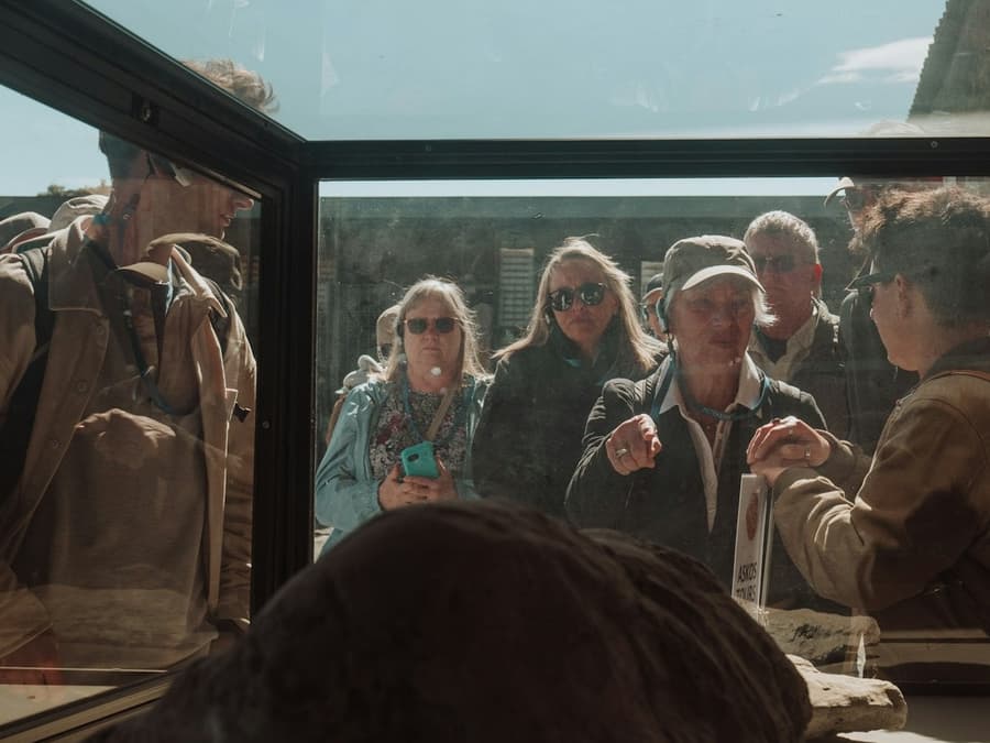 Pompeii: Half-Day Guided Tour from Rome + Roundtrip Train