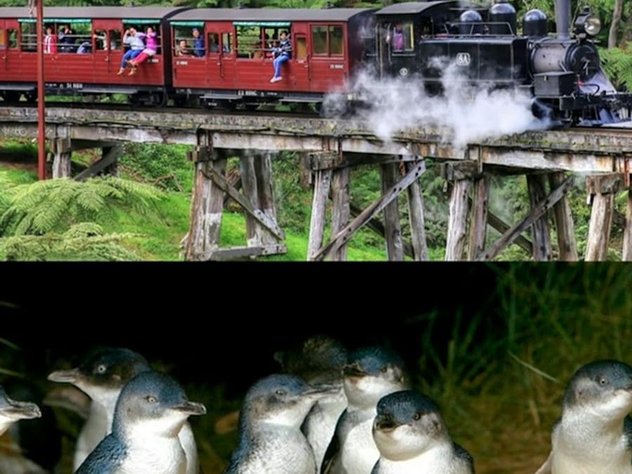 Puffing Billy & Phillip Island Penguin Parade: Bus & Train Tour from Melbourne
