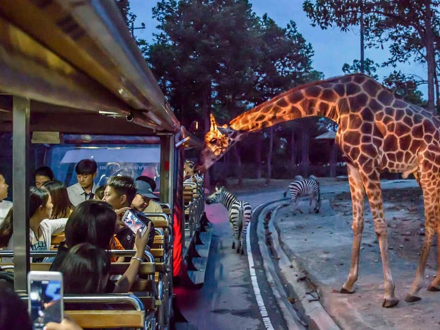 Chiang Mai Night Safari Tickets with Transfers: Non-Thai Residents