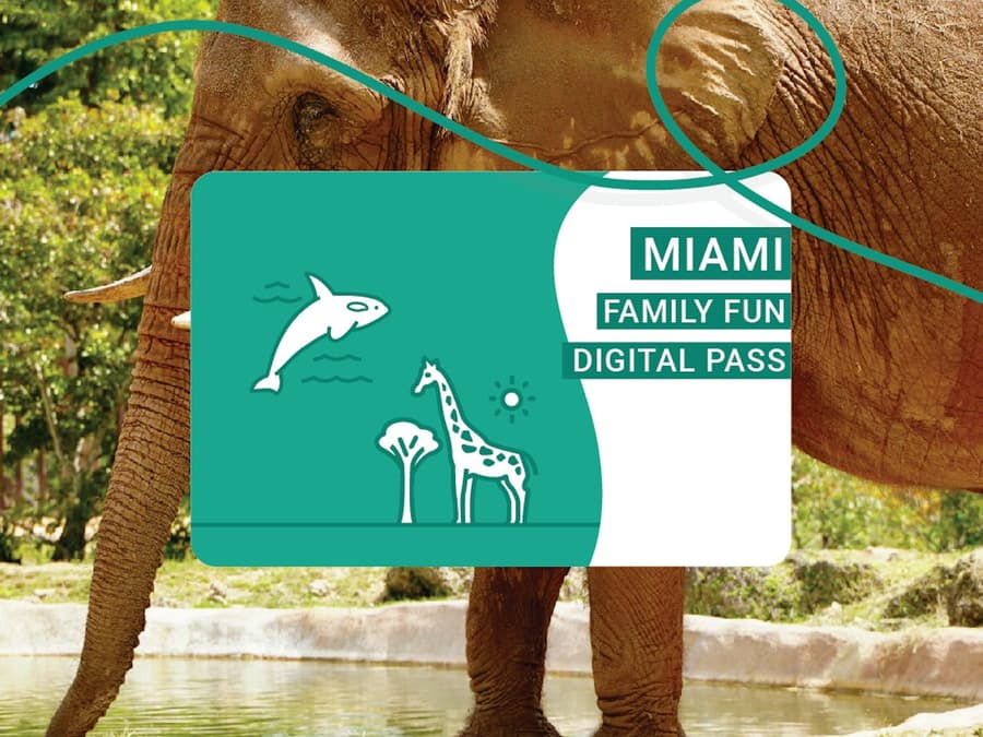 Miami Family Fun Package