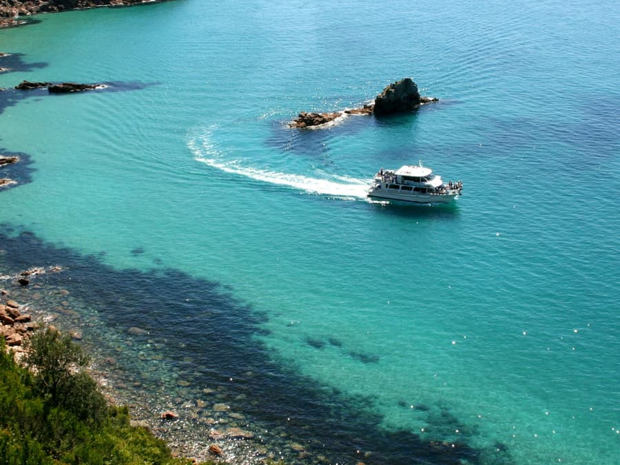Cape Woolamai Cruise from San Remo