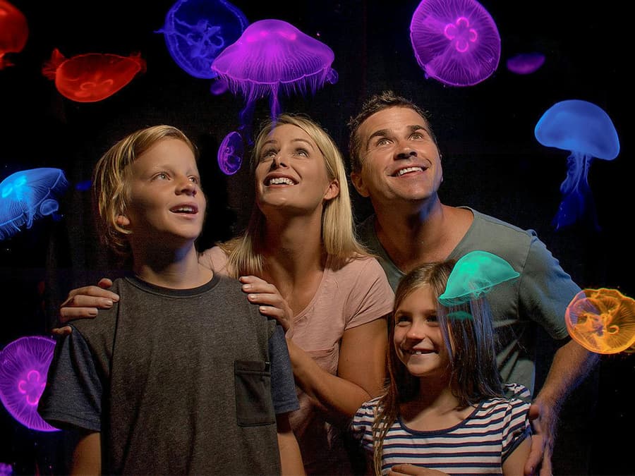 SEA LIFE Sunshine Coast Aquarium Tickets