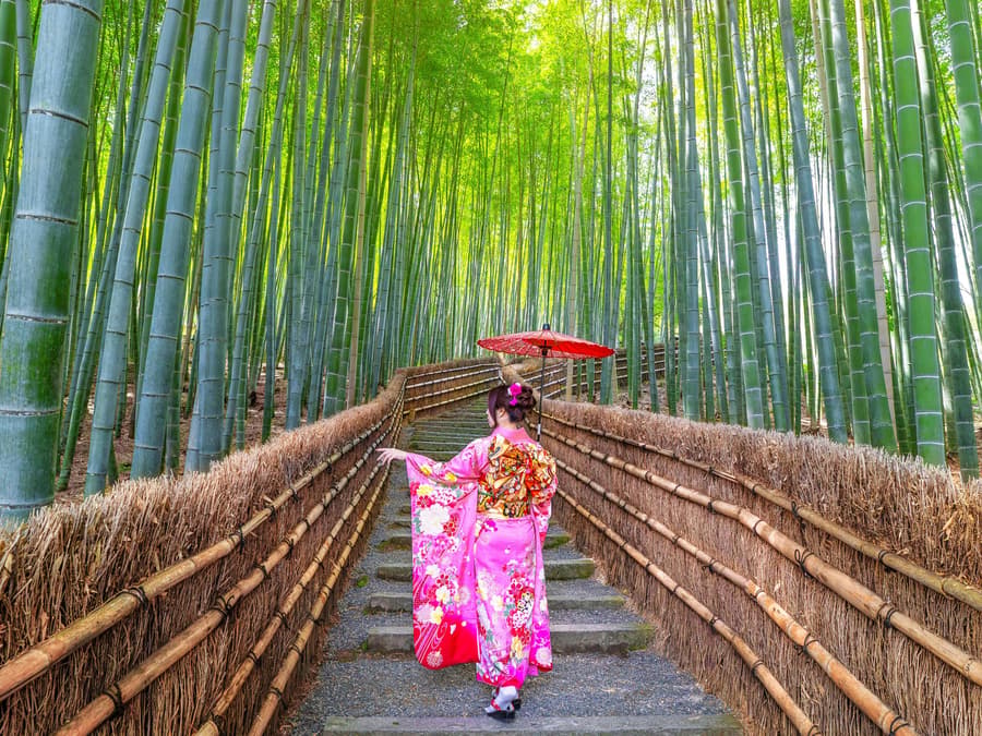 Kyoto Guided Tour: Bamboo Grove, Shrines & Nara Park from Osaka