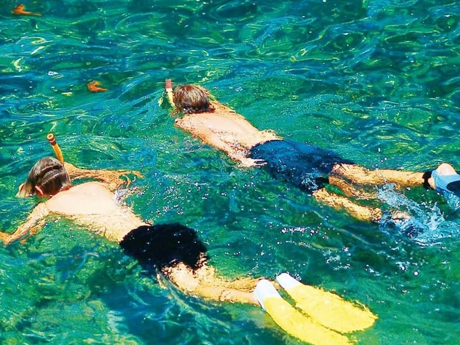 Palma de Mallorca: 2-Hr Catamaran Cruise + Swimming & Snorkeling