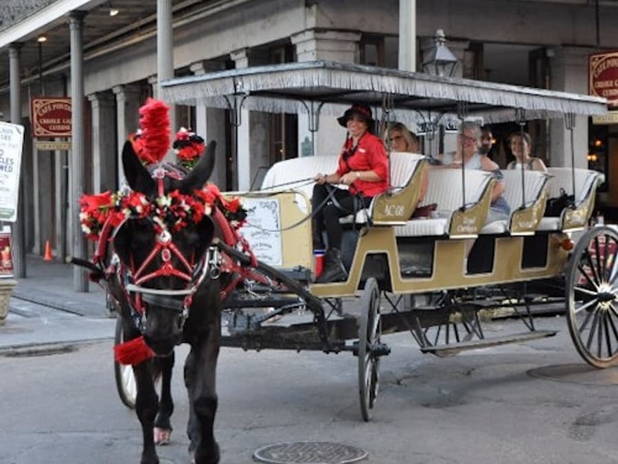 French Quarter by Mule Drawn Carriage: 60-Minute Tour