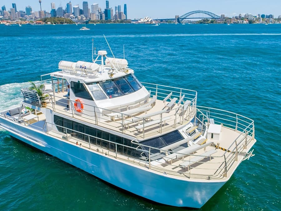 Valskådningstur i Sydney
