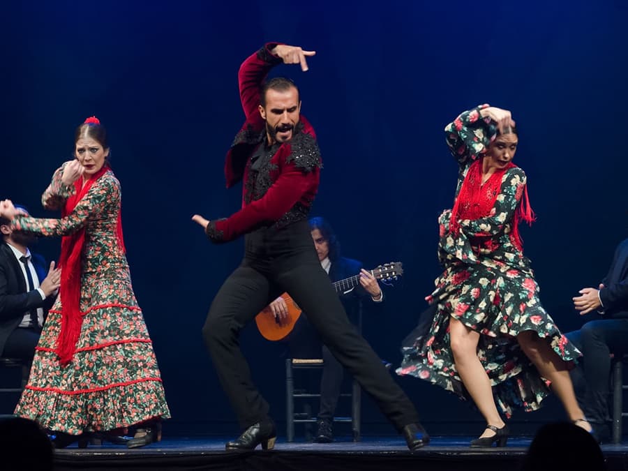 Sensaciones - Teatro Flamenco Granada