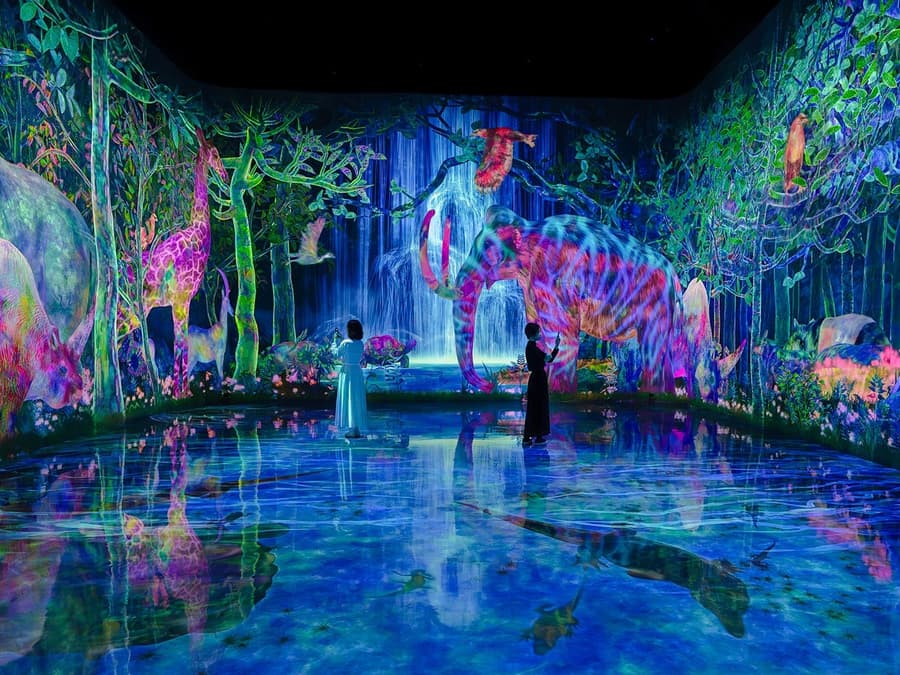 teamLab Planets টোকিও টিকিট