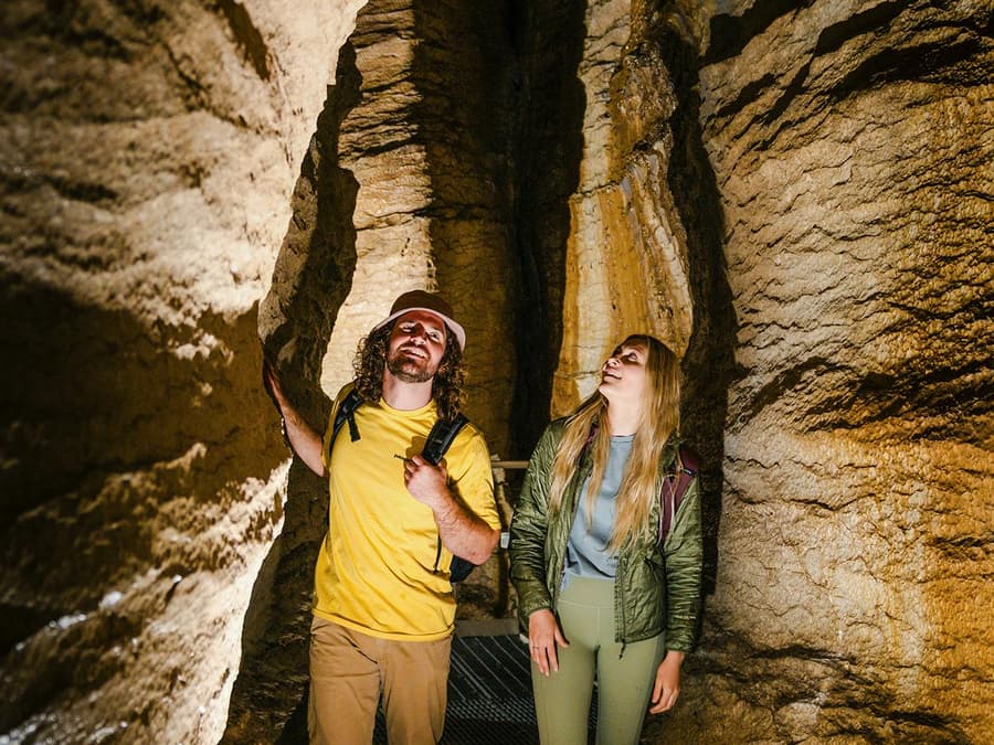 Te Anau Glowworm Caves Guided Tour