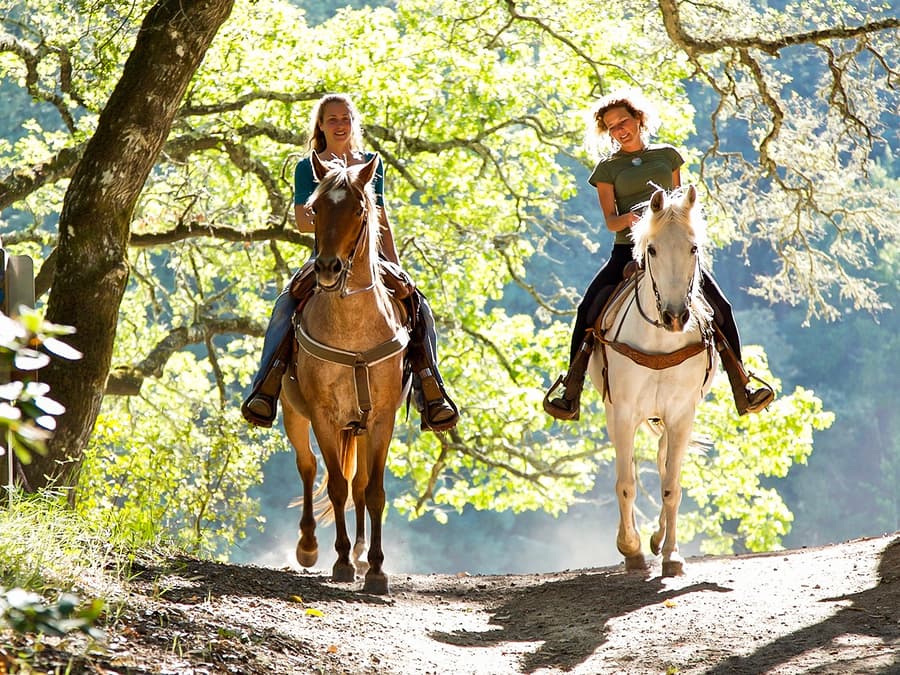 Tickets to 1.5-Hour Horseback Riding Experience from Siena