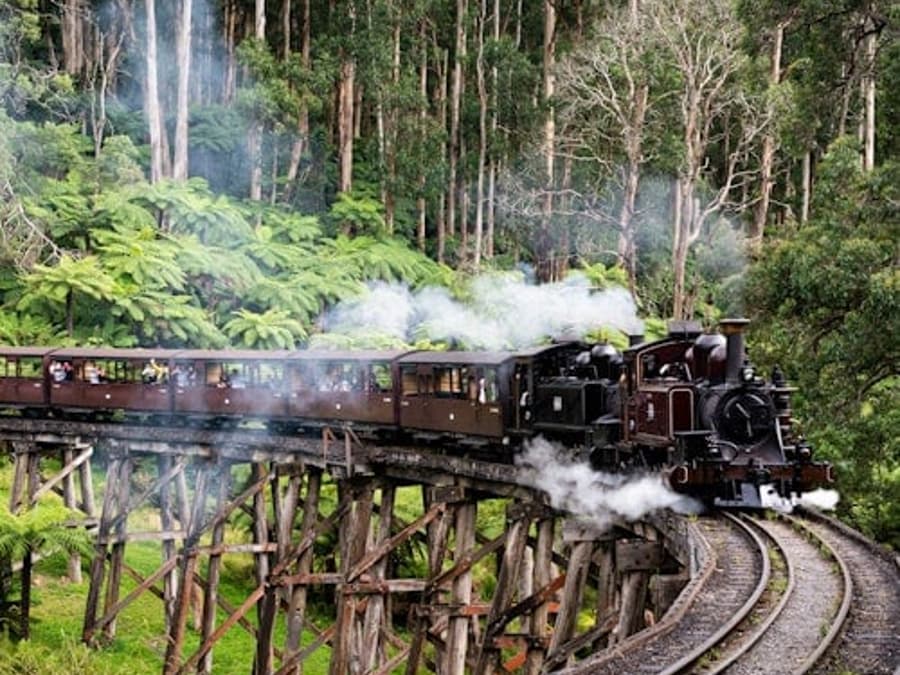 Puffing Billy Railway: Ride & Wildlife Tour + Transfers