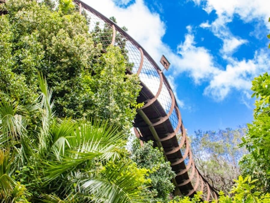 Constantia: Full-Day Wine Tour + Roundtrip Transfer