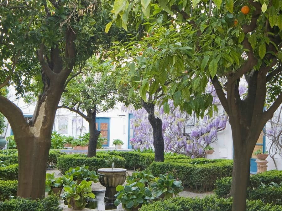Viana Palace: Guided Tour