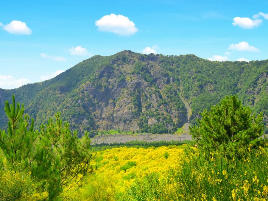 Mount Vesuvius: Skip The Line Ticket + Roundtrip from Naples
