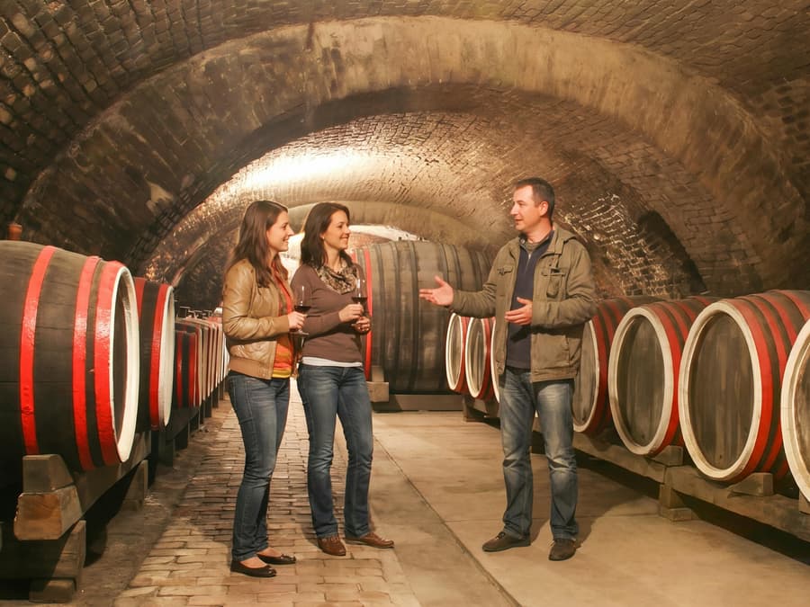 From Dubrovnik: Pelješac Peninsula Small Group Wine Tour