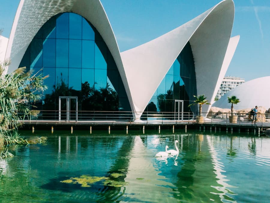 Valencia: Art & Science Pass