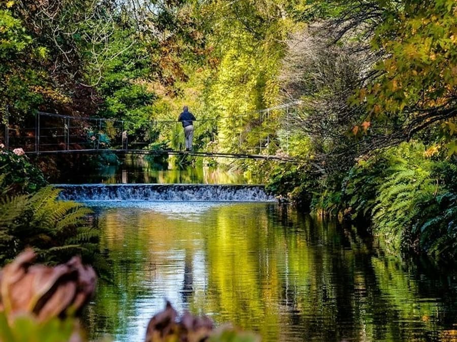 Avoca Mount Usher Gardens: Self Guided Experience