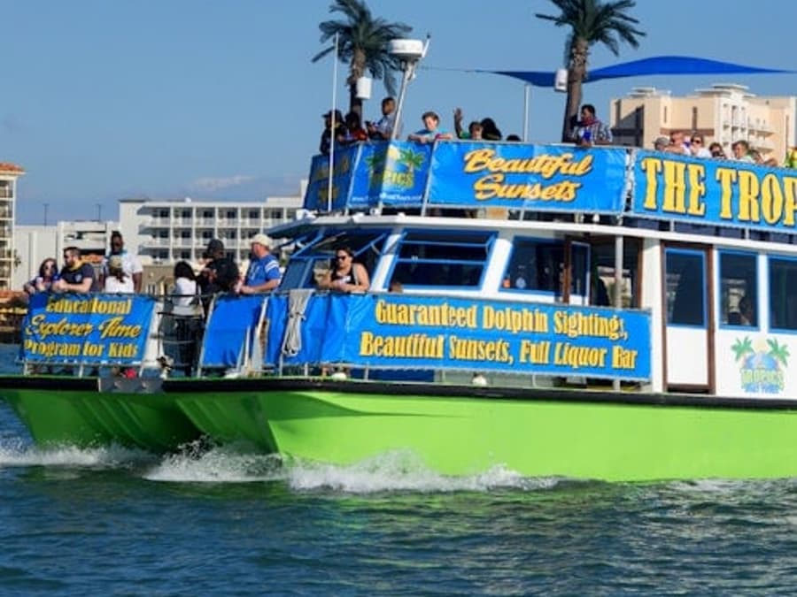Clearwater: Guided Dolphin Exploration Cruise