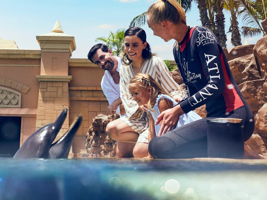 Aquaventure World: Waterpark Day Pass + Dolphin Meet & Greet