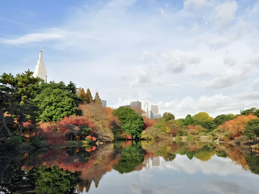 Admission Tickets to Shinjuku Gyoen National Garden