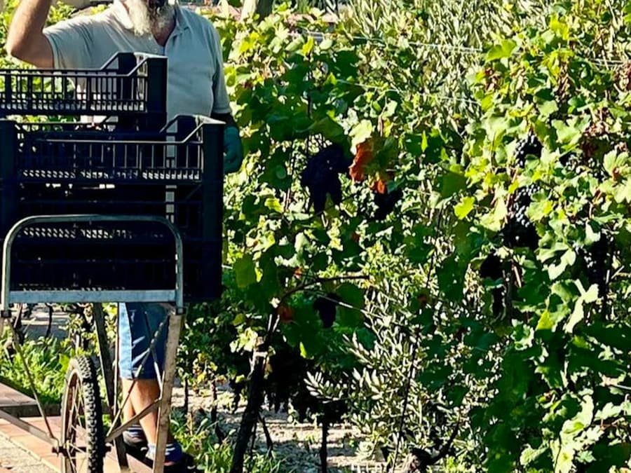Cantina Fratelli Vogadori: Valpolicella Wine Tasting Experience