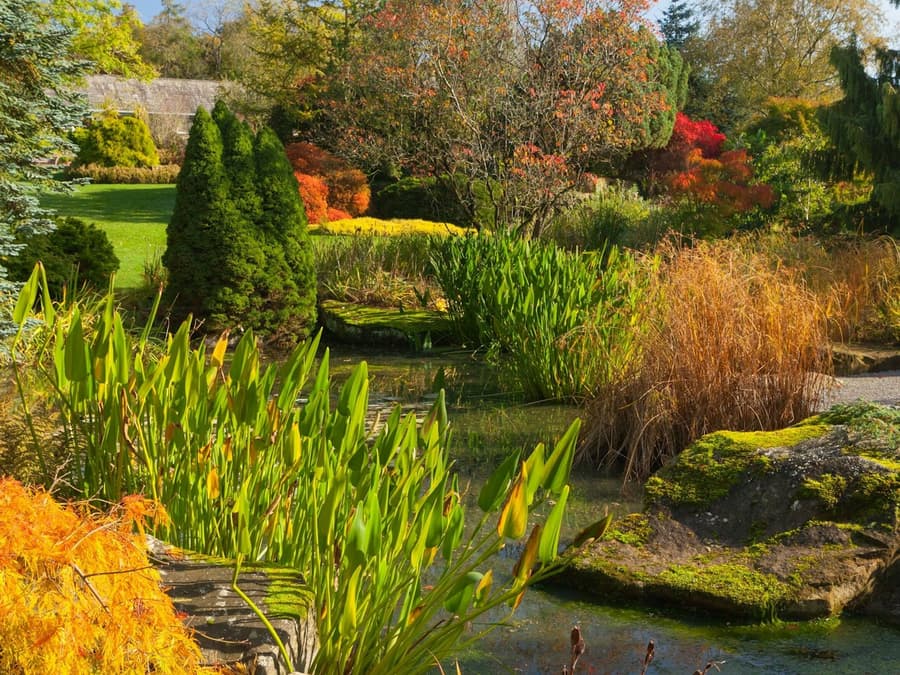 RHS Garden Harlow Carr: Entry Ticket