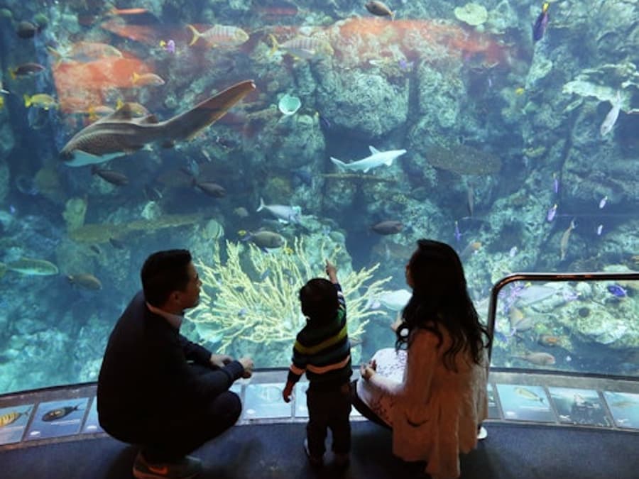 Aquarium of the Pacific: Membership Voucher